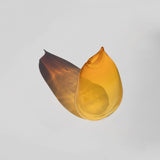 Amber Vase